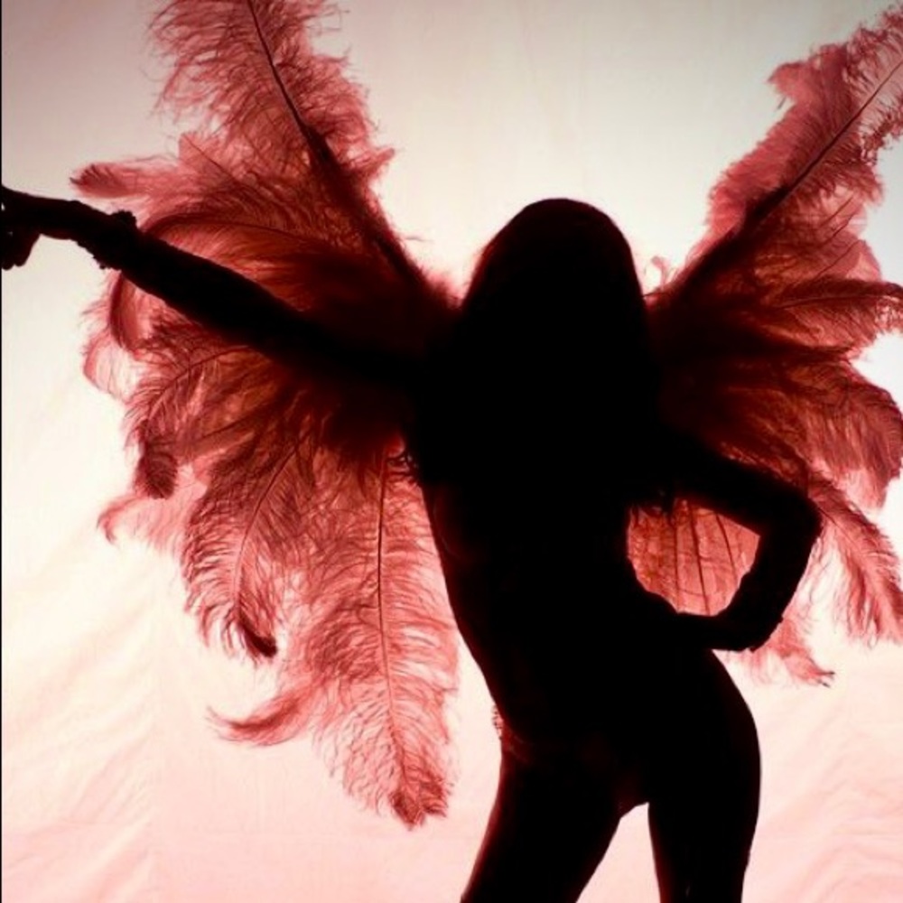 Meet your Posher, Kitty